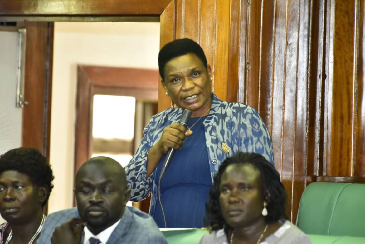 MPs Call Upon Gov’t Boost security in North-Eastern Cattle Corridor