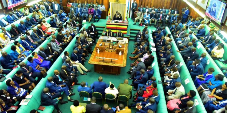 MPs concerned over proposed merger of govt agencies