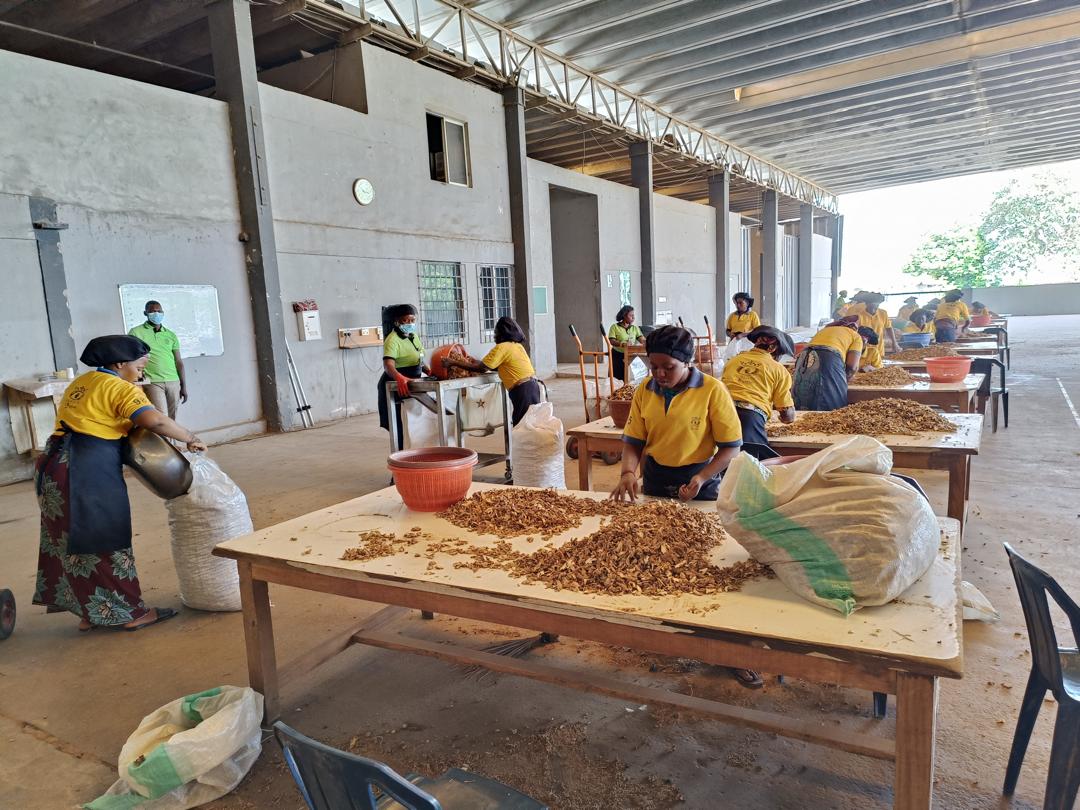 Aavishkaar Capital’s Global Supply Chain Support Fund (GSCSF) Supports the Horizon Group Africa with USD 5 Million Loan to Scale Operations