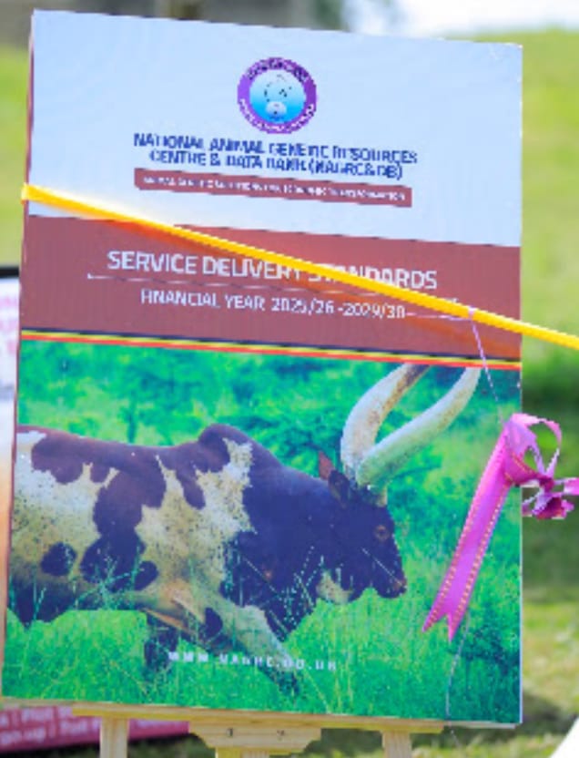 NAGRC&DB Set To Double Supply Of PDM Dairy Heifers, Poultry And Piglets