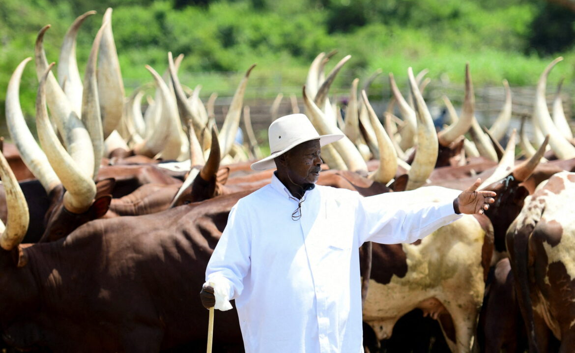 Gov’t pledges support to NAGRC&DB to produce more PDM breeding stock